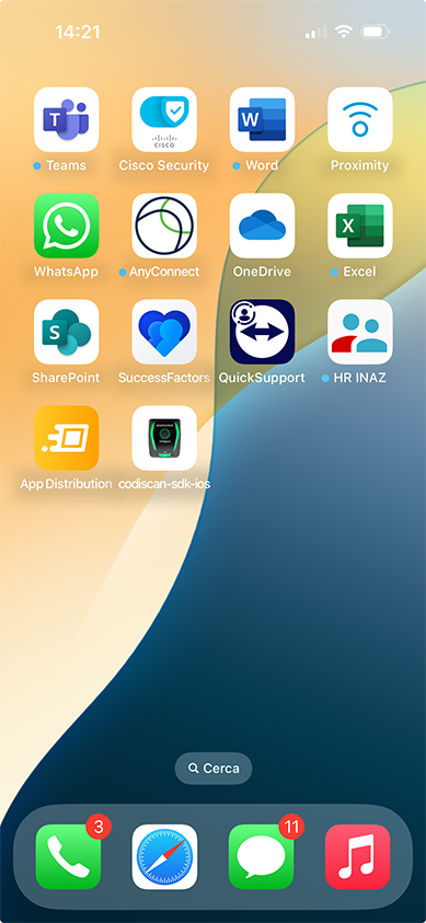 App Icon