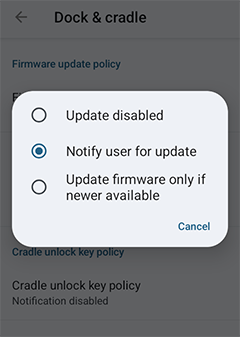 Firmware update policy