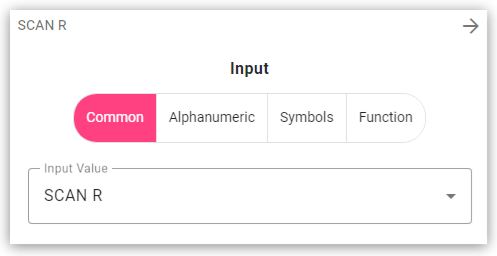 Key Remap input options