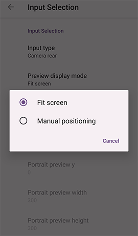 Preview display mode