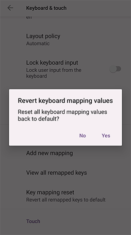 Key mapping reset