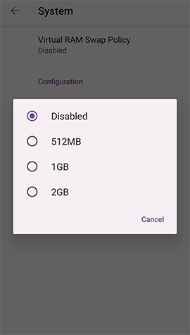 Virtual RAM