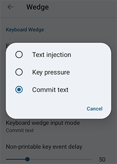 Keyboard Wedge Input Mode